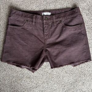 Carve Design Oahu Corduroy 4” inseam shorts 8